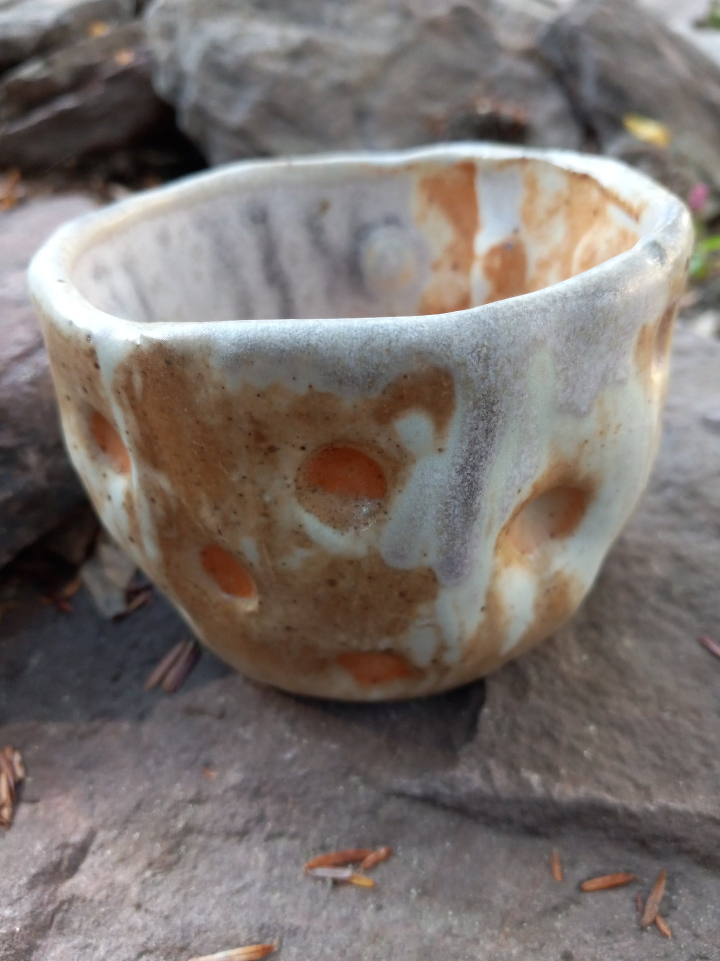 Spotty Beeb Cup