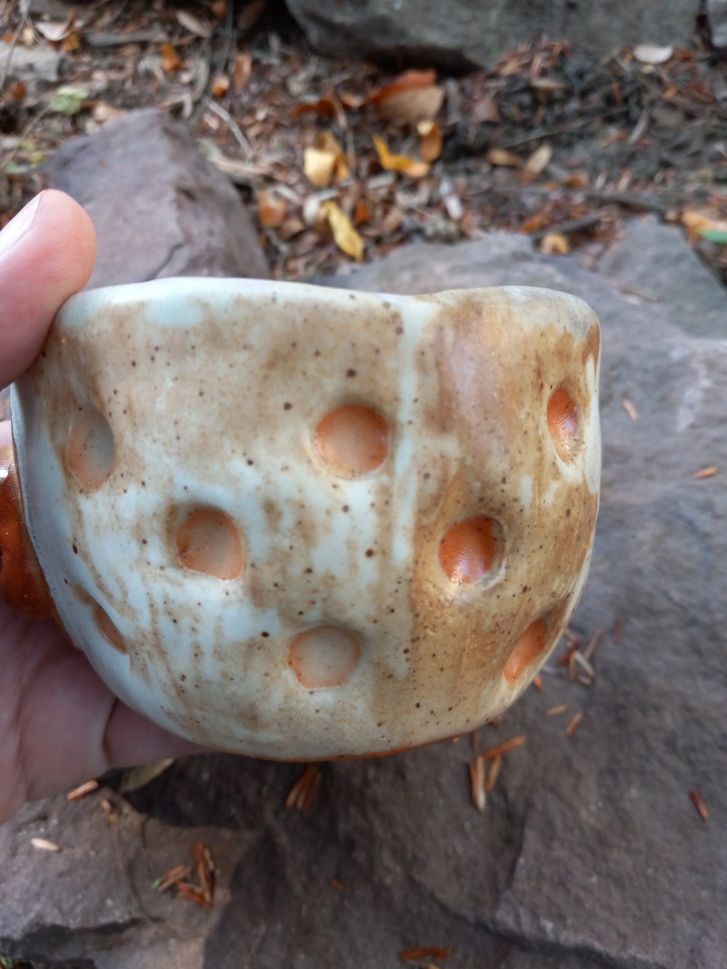 Spotty Beeb Cup