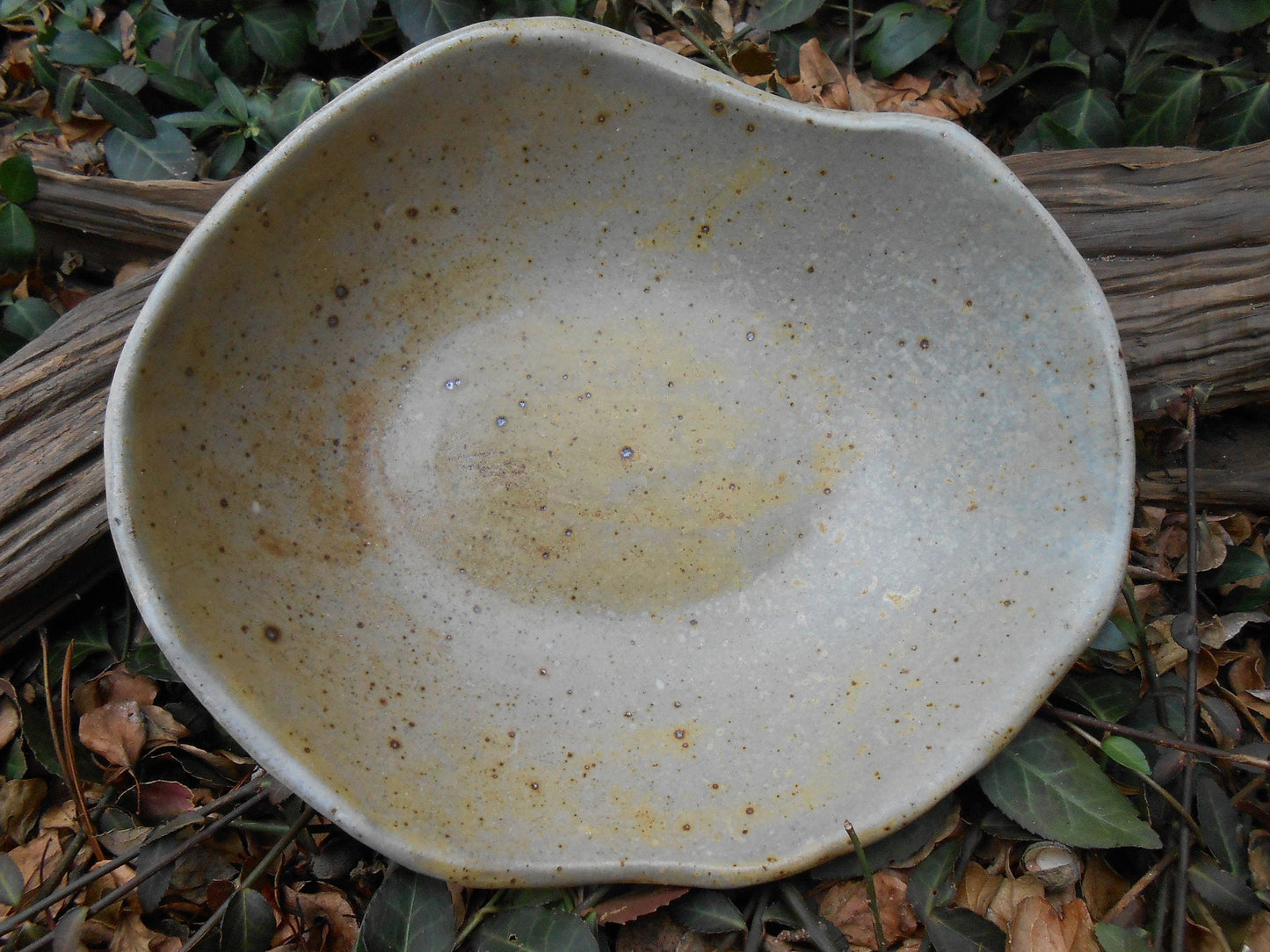 Robin's Egg Laced Ceramic Bowl