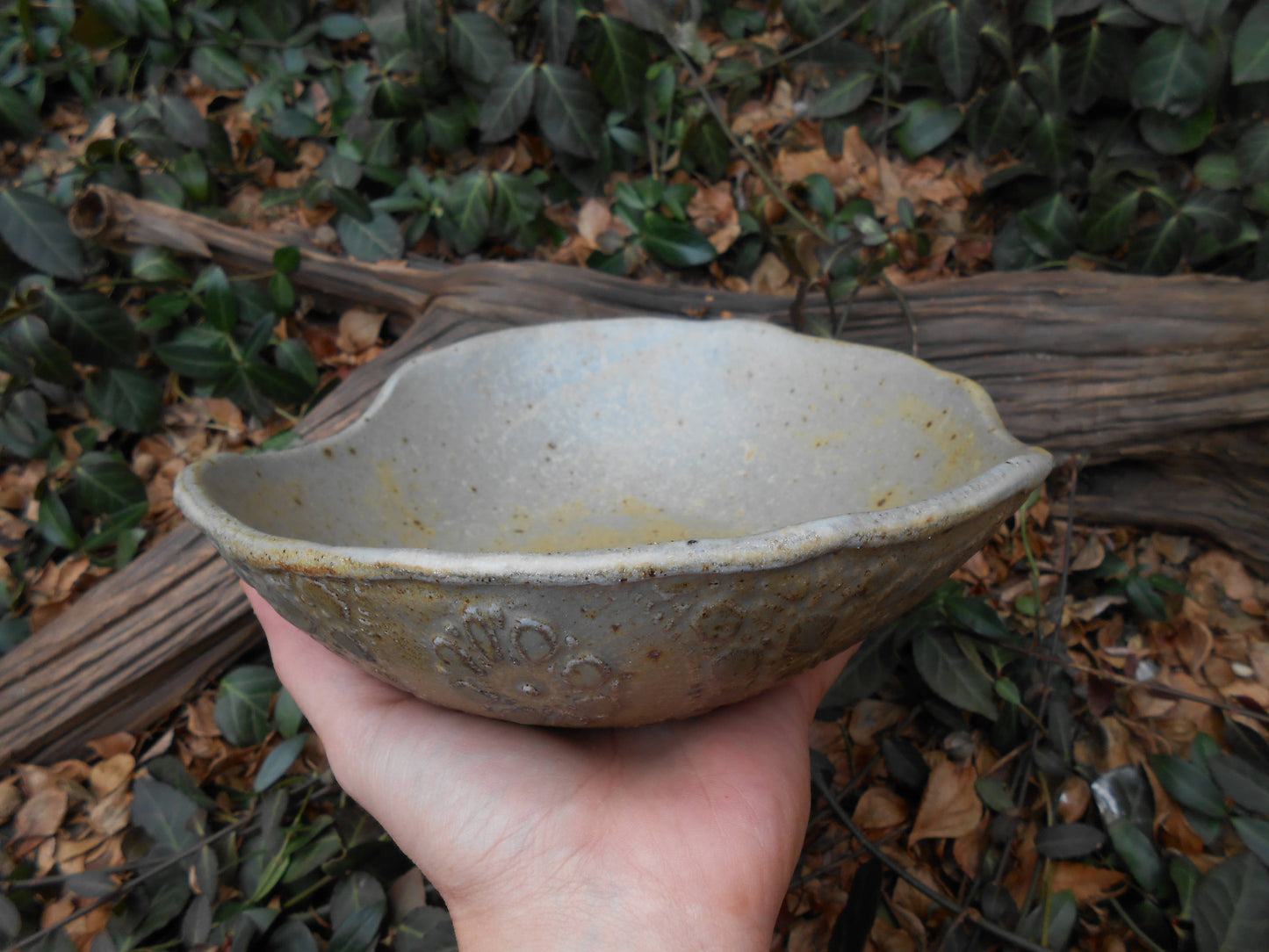 Robin's Egg Laced Ceramic Bowl