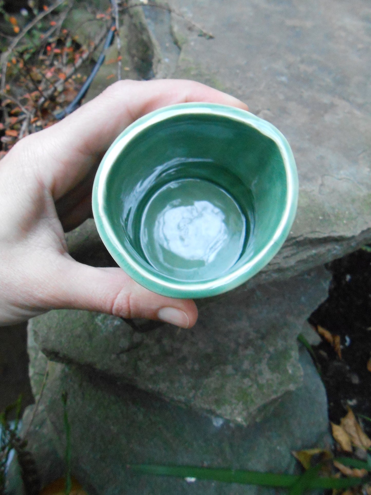 Forest Floor Clay Cup