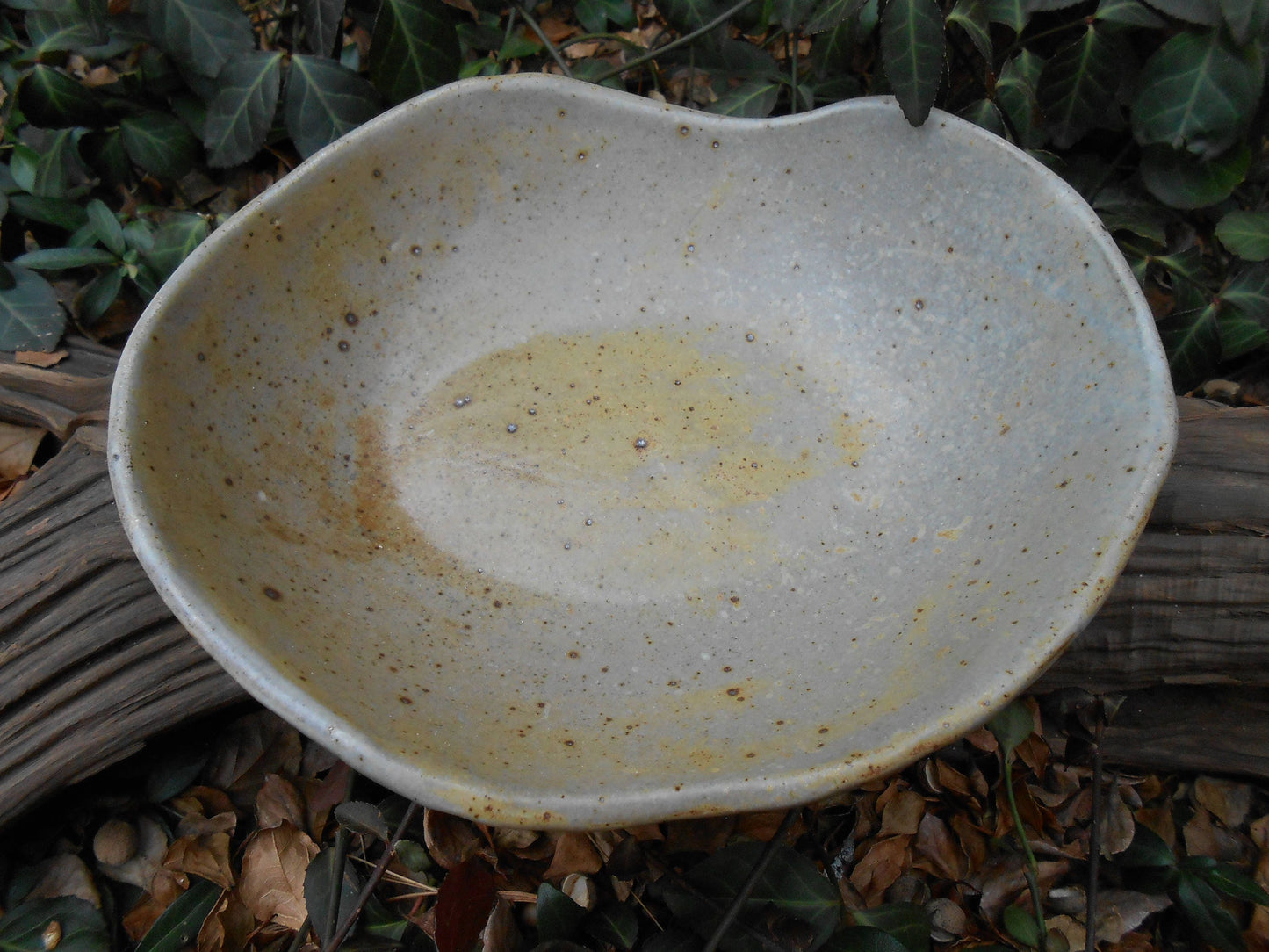 Robin's Egg Laced Ceramic Bowl